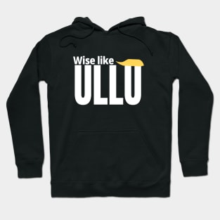 Wise like ullu stupid like owl funny trump quote Hoodie